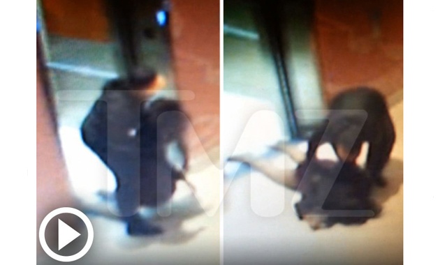 Video Surfaces Of Ray Rice Beating Wife Praise 1041