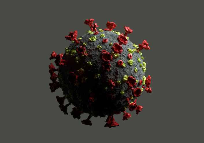 Coronavirus structure