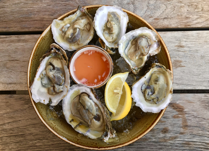 Oysters