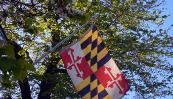 Maryland’s State Flag