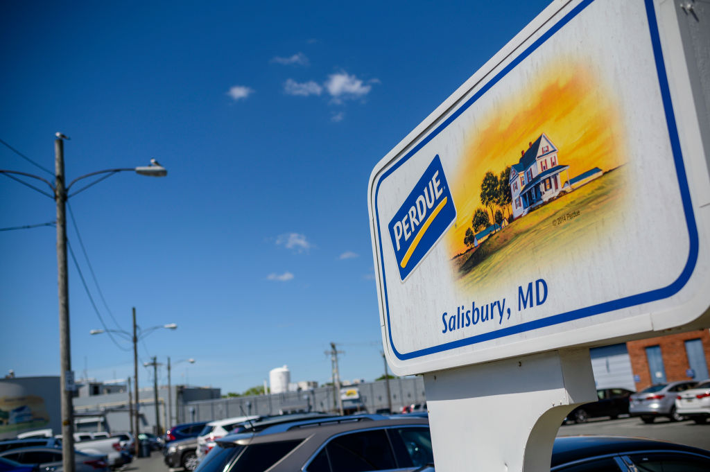 US-HEALTH-VIRUS-HAITI-CHICKEN